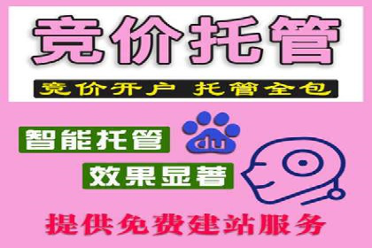 竞价广告的胜利者：某公司如何借助竞价推广公司实现业绩突破